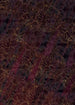 Komar Lotus Papier Peint Intissé 200x280cm 4 bandes | Yourdecoration.fr