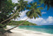 Komar Intisse Papier Peint 8 308 Tropical Sea | Yourdecoration.fr