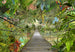 Komar Intisse Papier Peint 8 977 Wild Bridge | Yourdecoration.fr