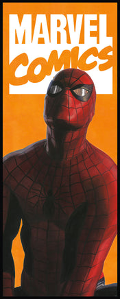 Komar Intisse Papier Peint Iadx2 070 Spider Man Comic | Yourdecoration.fr