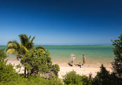 Komar Intisse Papier Peint Iangx8 003 Madagascar Hideout | Yourdecoration.fr