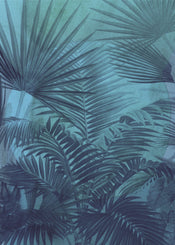 Komar Intisse Papier Peint Inx4 009 Transparency | Yourdecoration.fr