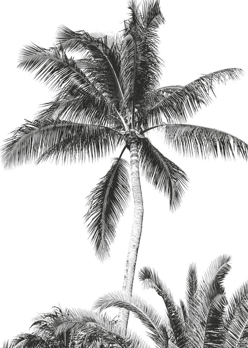 Komar Intisse Papier Peint Iax4 0011 Retro Palm  | Yourdecoration.fr