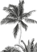 Komar Intisse Papier Peint Iax4 0011 Retro Palm  | Yourdecoration.fr