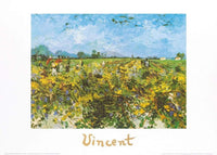 Vincent Van Gogh  The Green Vineyard affiche art 70x50cm | Yourdecoration.fr