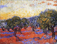 Vincent Van Gogh  Uliveto affiche art 30x24cm | Yourdecoration.fr