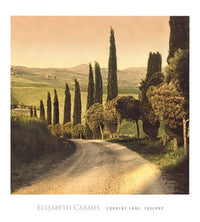 Elisabeth Carmel  Country Lane, Tuscany affiche art 45x50cm | Yourdecoration.fr