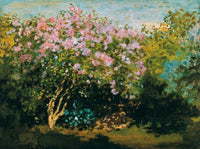 Claude Monet  BlÃ¼hender Flieder in der Sonne affiche art 80x60cm | Yourdecoration.fr