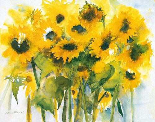 Christa Ohland  Sonnenblumenfeld affiche art 12x90cm | Yourdecoration.fr