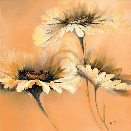 Elena Filatov  Apricot Summer I affiche art 70x70cm | Yourdecoration.fr