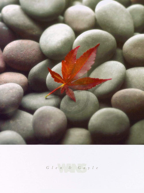 Glen & Gale Wans  Leaf on Stone affiche art 45x61cm | Yourdecoration.fr