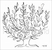Henri Matisse  Le platane affiche art 100x100cm | Yourdecoration.fr