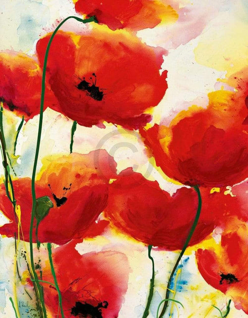 Heidi Reil  Roter Mohn affiche art 70x90cm | Yourdecoration.fr