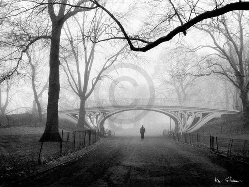 Henri Silberman  Gothic Bridge, Central Park NYC affiche art 80x60cm | Yourdecoration.fr