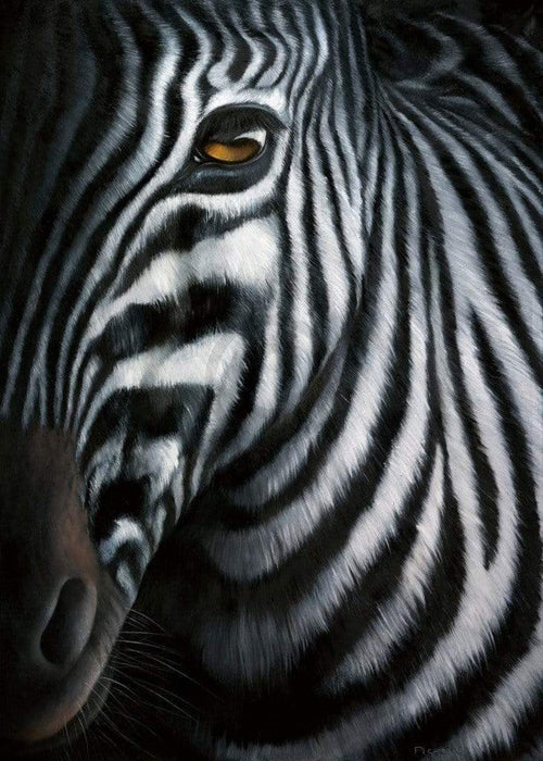 Jutta Plath  Zebra I affiche art 60x80cm | Yourdecoration.fr