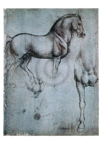 Leonardo Da Vinci  Studio di cavalli affiche art 35x50cm | Yourdecoration.fr