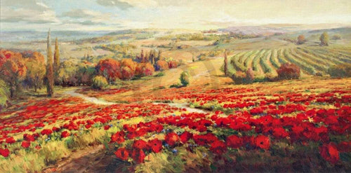 Roberto Lombardi  Red Poppy Panorama affiche art 120x60cm | Yourdecoration.fr