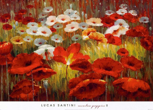 Lucas Santini  Meadow Poppies II affiche art 91x66cm | Yourdecoration.fr