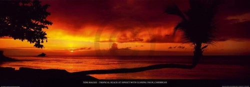 Tom Mackie  Tropical Beach at Sunset affiche art 95x33cm | Yourdecoration.fr