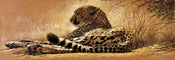 Renato Casaro  Little rest affiche art 99x34cm | Yourdecoration.fr