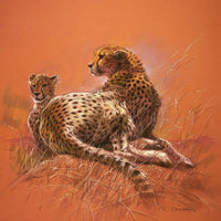 Renato Casaro  Cheetah Mother affiche art 50x50cm | Yourdecoration.fr