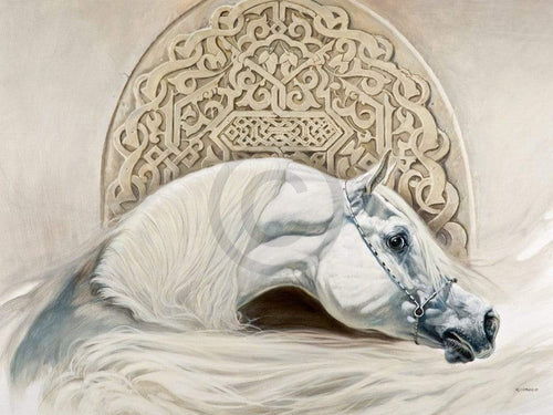 Renato Casaro  Arabian Pride affiche art 80x60cm | Yourdecoration.fr