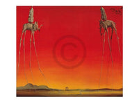 Salvador Dali  Les Elephants affiche art 80x60cm | Yourdecoration.fr