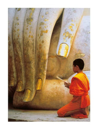 Hugh Sitton  The Hand of Buddha affiche art 60x80cm | Yourdecoration.fr