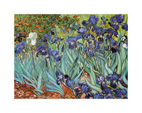 Vincent Van Gogh  Iris affiche art 30x24cm | Yourdecoration.fr