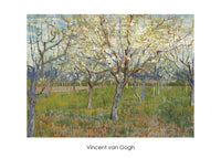 Vincent Van Gogh  The Orchard affiche art 70x50cm | Yourdecoration.fr