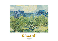 Vincent Van Gogh  Landscapes with olive trees affiche art 70x50cm | Yourdecoration.fr