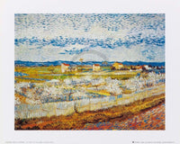 Vincent Van Gogh  Pesco in fiore affiche art 30x24cm | Yourdecoration.fr