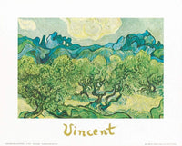 Vincent Van Gogh  Landscapes with olive trees affiche art 30x24cm | Yourdecoration.fr