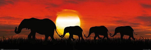 Pyramid Sunset Elephants Affiche 91,5x30,5cm | Yourdecoration.fr