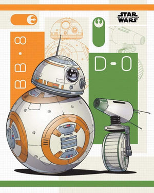 Pyramid Star Wars The Rise of Skywalker BB 8 and D 0 Affiche 40x50cm | Yourdecoration.fr