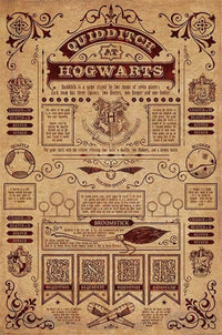Pyramid Harry Potter Quidditch At Hogwarts Affiche 61x91,5cm | Yourdecoration.fr