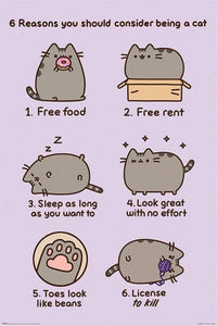 Pyramid Pusheen Reasons to be a Cat Affiche 61x91,5cm | Yourdecoration.fr