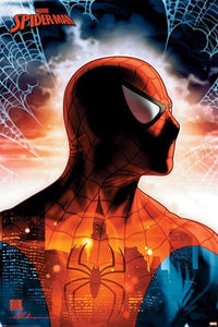 Pyramid Spider Man Protector of the City Affiche 61x91,5cm | Yourdecoration.fr