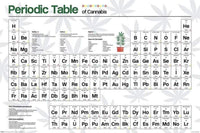 Pyramid Periodic Table Cannabis Affiche 61x91,5cm | Yourdecoration.fr