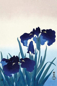 Pyramid Ohara Koson Iris Flowers Affiche 61x91,5cm | Yourdecoration.fr