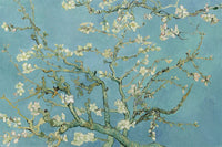 Pyramid Van Gogh Almond Blossom Affiche 91,5x61cm | Yourdecoration.fr