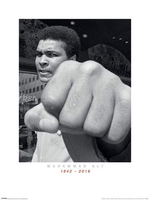 Pyramid Muhammad Ali Commemorative Punch affiche art 60x80cm | Yourdecoration.fr