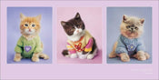 Pyramid Rachael Hale Kitty Couture affiche art 50x100cm | Yourdecoration.fr