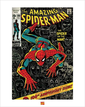 Pyramid Spider Man affiche art 40x50cm | Yourdecoration.fr