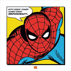 Pyramid Spider Man With Great Power affiche art 40x40cm | Yourdecoration.fr