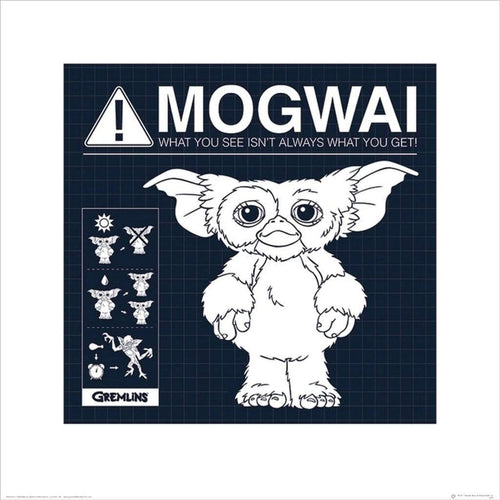 Pyramid Gremlins Mogwai Rules affiche art 40x40cm | Yourdecoration.fr