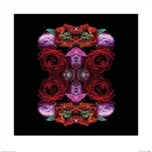 Pyramid Alyson Fennell Paradise of Petals affiche art 60x60cm | Yourdecoration.fr