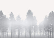 Komar Silver Haze Papier Peint Intissé 400x280cm 8 bandes | Yourdecoration.fr