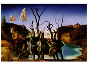 Salvador Dali  Reflections of Elephants affiche art 80x60cm | Yourdecoration.fr