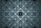Komar Matrix Papier Peint Intissé 368x248cm | Yourdecoration.fr